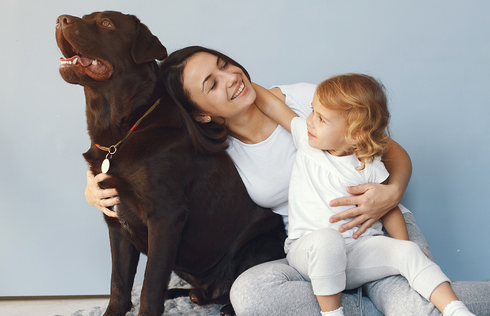 simplisafe discount is available for america's credit union members image of mom dog and child